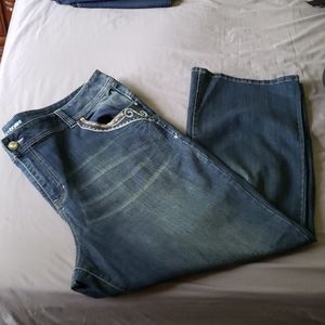 Lane bryant jeans